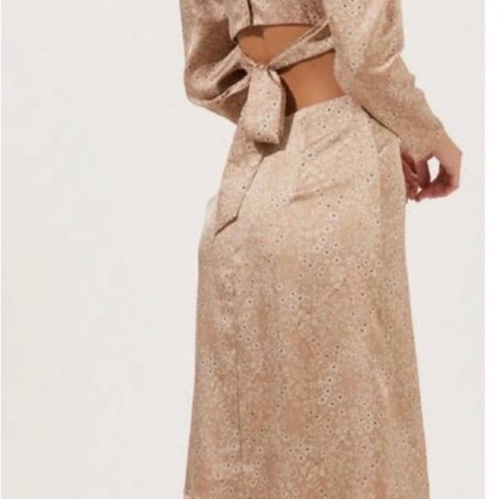 NWT Astr The Label Lainie Long Sleeve Dress. Tie Back. Silky. Size Small. Taupe. - Picture 4 of 11